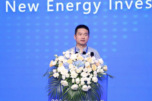 2024新能源投资峰会暨“方舟一号”固态储能系统全球首发会在温州成功举办(图3)