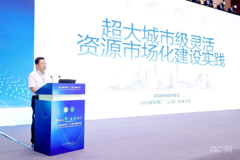 上海虚拟电厂最大响应负荷超704万千瓦创历史新高这个高峰论坛“含绿量”不一般！(图6)