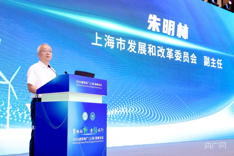 上海虚拟电厂最大响应负荷超704万千瓦创历史新高这个高峰论坛“含绿量”不一般！(图2)