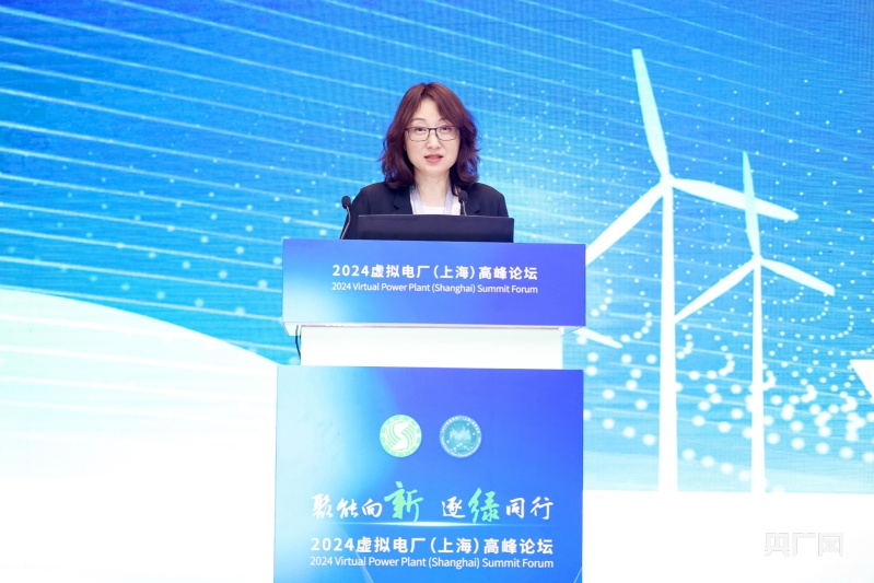 上海虚拟电厂最大响应负荷超704万千瓦创历史新高这个高峰论坛“含绿量”不一般！(图4)