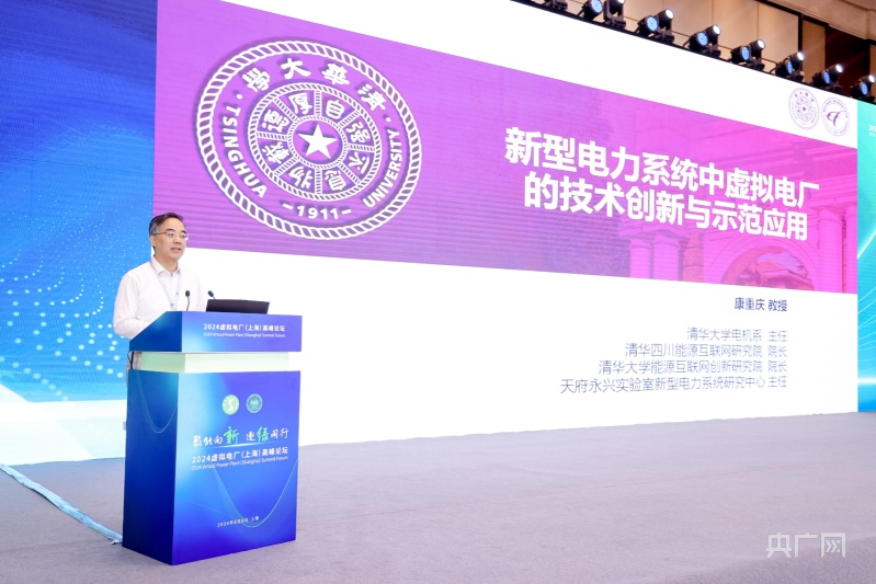 上海虚拟电厂最大响应负荷超704万千瓦创历史新高这个高峰论坛“含绿量”不一般！(图7)