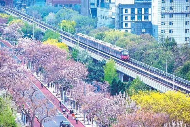 地方动态小规模、渐进式、可持续——打造超大城市更新“北京范本”(图2)