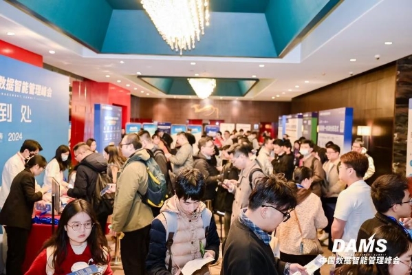 2024DAMS中国数据智能管理峰会在上海成功举办(图10)
