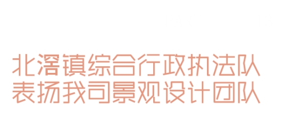相关报道(图20)