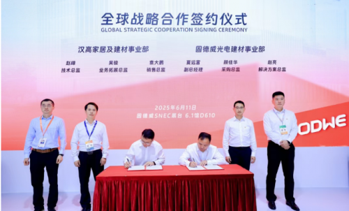 “源网荷储智”生态绽放固德威2025SNEC领航智慧能源新时代(图9)
