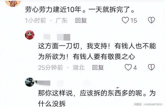 10亿违建豪宅被推平屋主身份曝光官媒称完全合理！(图11)