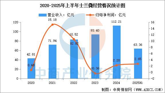 2025年中国电源管理芯片行业市场前景预测研究报告(图8)