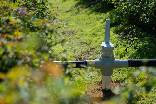 极飞科技：以「智」驭田让千年农耕邂逅未来星河(图2)