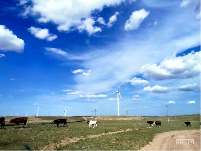 聚焦核心“赛道”解锁增长“密码”(图7)