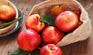 深度分析_中研普华行业研究网(图9)