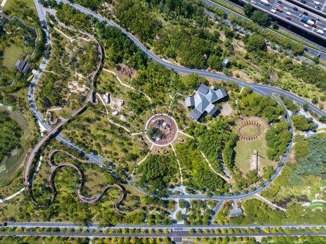 天更蓝、水更清、居更宜徐汇5年绘出绿色发展新画卷(图8)