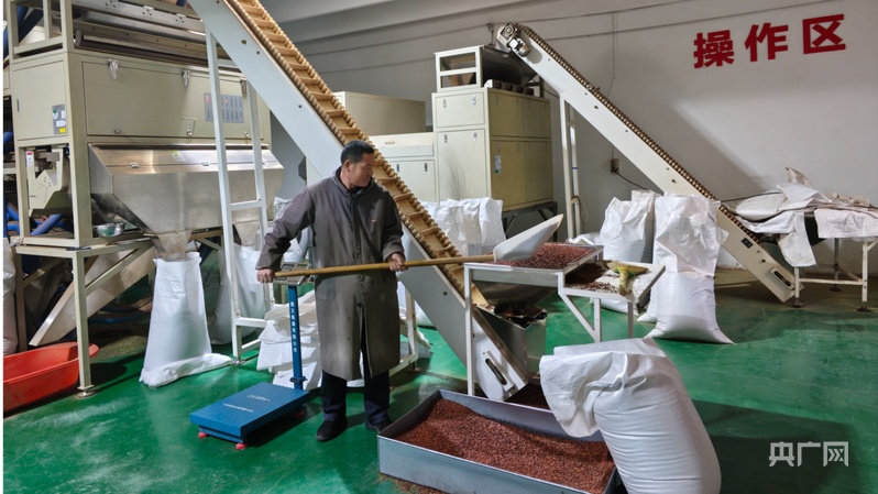 山水相逢·生态赞皇丨一颗枣一片瓷绘就产业发展新图景(图3)