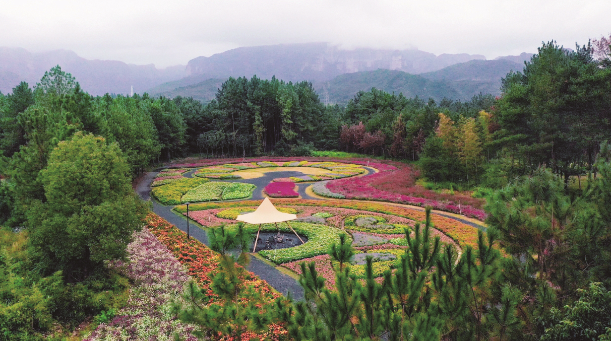 看台州新闻关注浙江台州频道微信(图6)