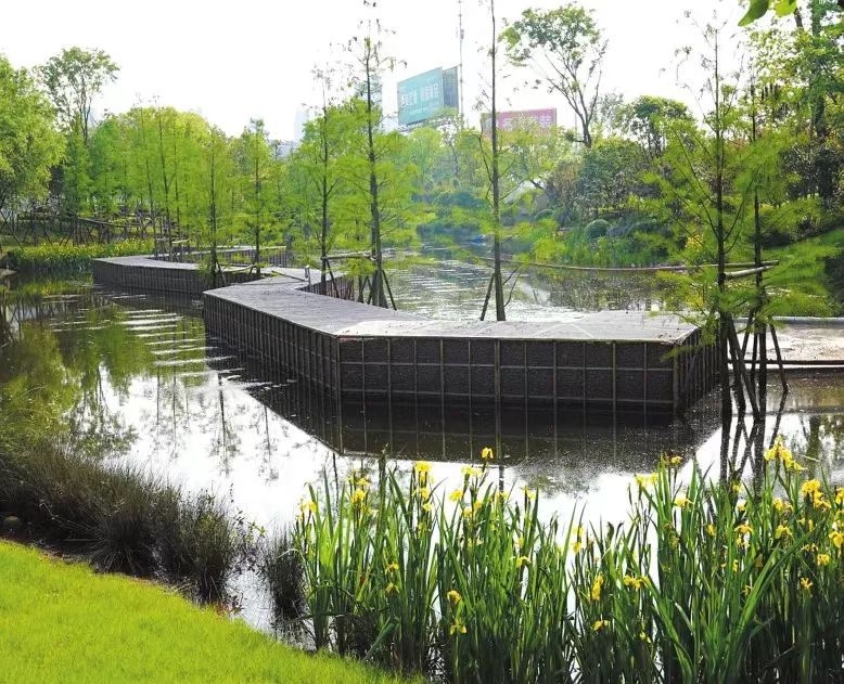 书写人民城市建设的“岳阳答卷”(图4)