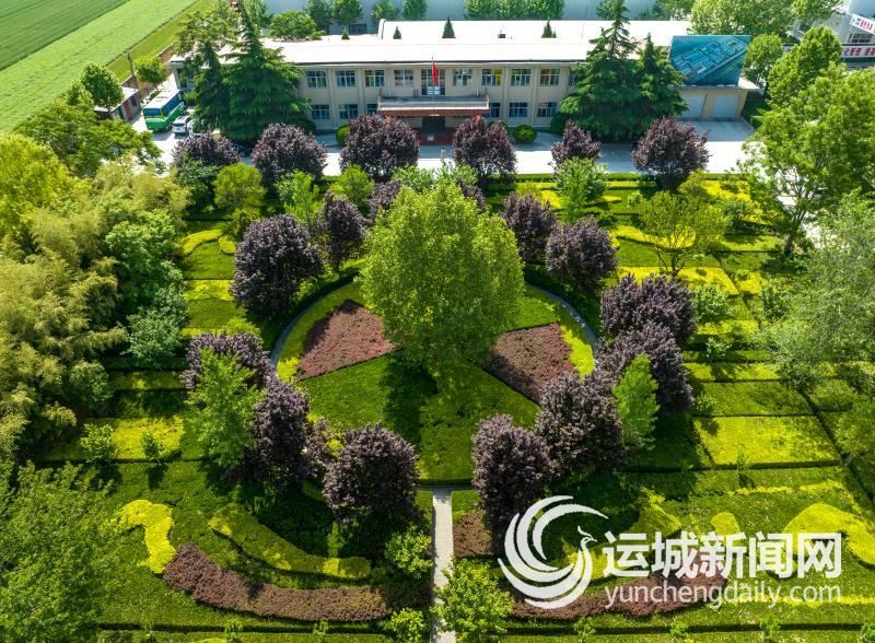 从“镁”出发向“绿”而行(图1)